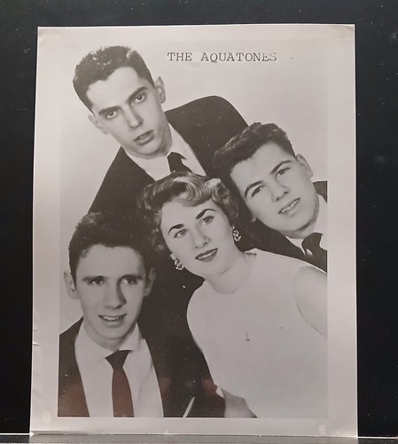 The aquatones 8x10 press - press, kit